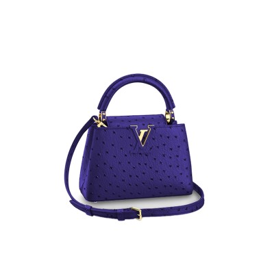 LOUIS VUITTON CAPUCINES MINI M95509 (21*14*8cm) 